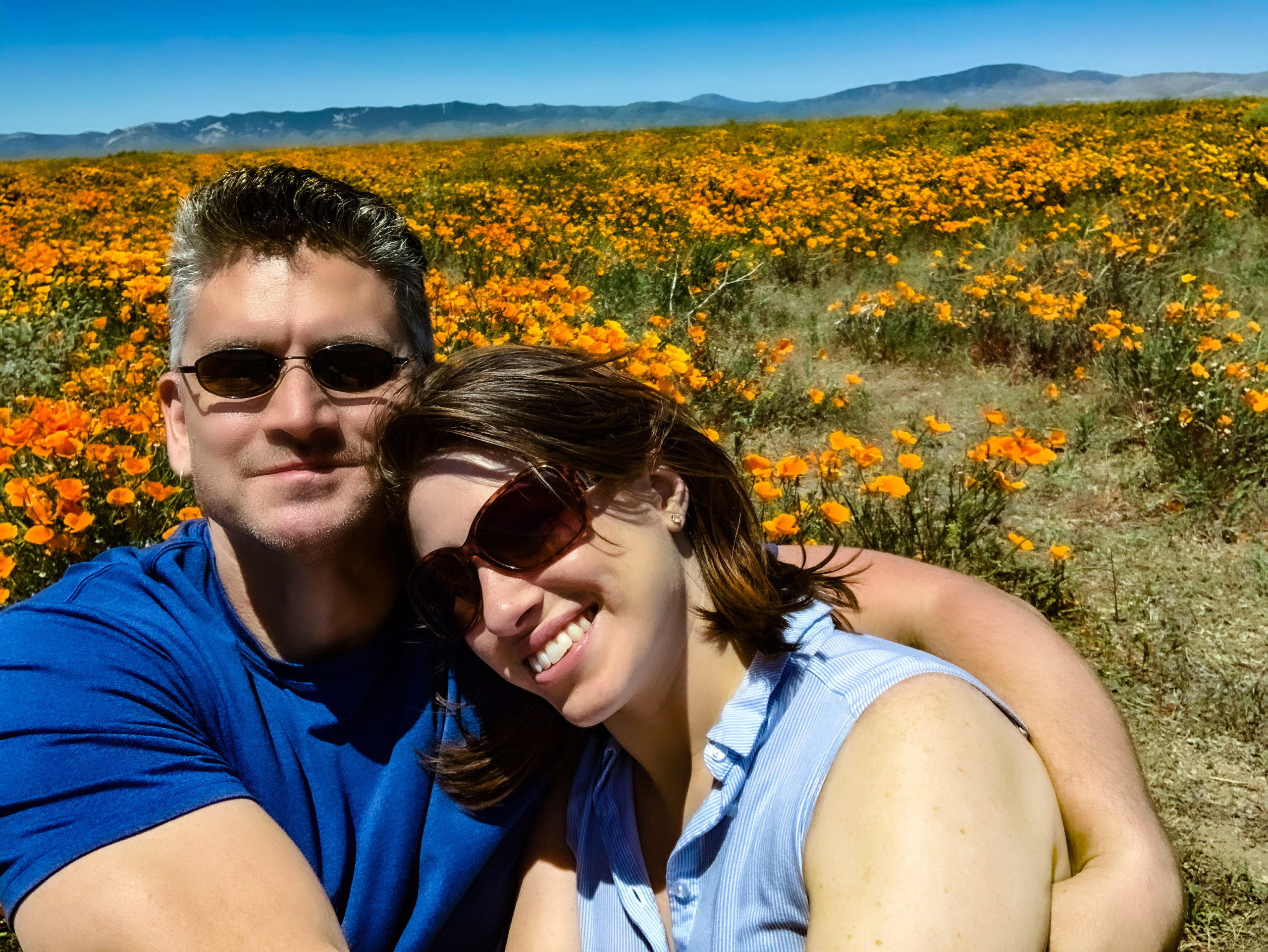 West Coast Couple sitting in a poppy field
